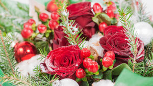 Fresh red & white flowers