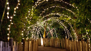 Fairy lights lit at night